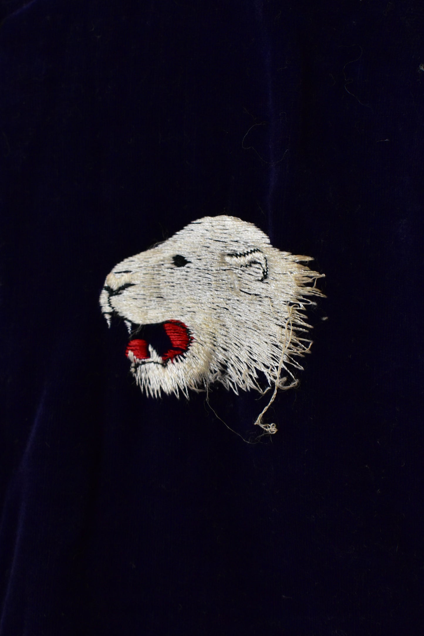 Vintage 1950s Thule Greenland Reversible Satin and Velvet Kids Souvenir Jacket